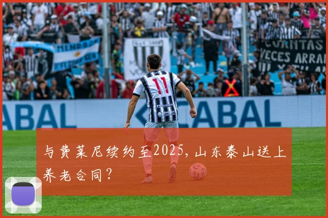 与费莱尼续约至2025,山东泰山送上养老合同？